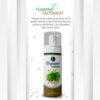 Mint and Clove Foaming Face Wash – Gentle Cleanser for Oily and Acne-Prone Skin